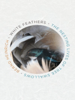 White Feathers: The Nesting Lives of Tree Swallows