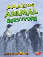 Amazing Animal Survivors