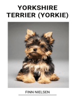 Yorkshire Terrier (Yorkie)