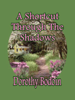 A Shortcut Through the Shadows
