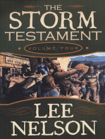 The Storm Testament IV