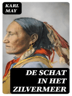 De schat in het Zilvermeer