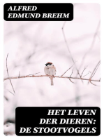 Het Leven der Dieren: De Stootvogels