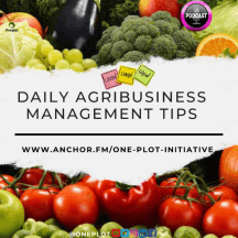 One Plot (Daily Agribusiness Management Tips)