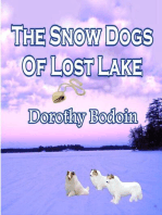 The Snow Dog's of Lost Lake