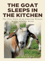 The Goat Sleeps in the Kitchen