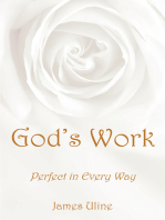 God's Work: Perfect in Every Way
