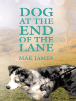 Dog at the End of the Lane