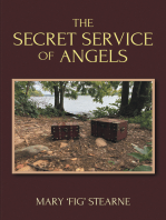 The Secret Service of Angels