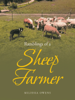 Ramblings of a Sheep Farmer