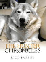 The Hunter Chronicles