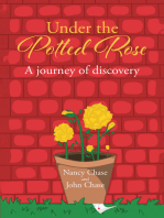 Under the Potted Rose