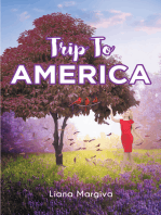 Trip To America