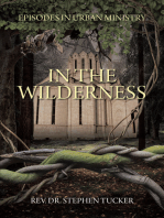 In The Wilderness: Episodes in Urban Ministry