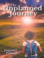 The Unplanned Journey