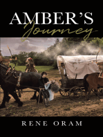 Amber's Journey