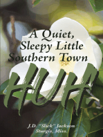 A Quiet, Sleepy Little Southern Town HUH!