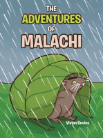 The Adventures of Malachi