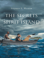 The Secrets of Spirit Island