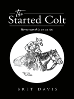 The Started Colt: Horsemanship as an Art