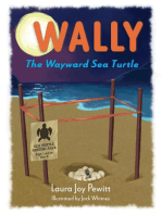 Wally, The Wayward Sea Turtle