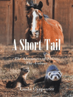 A Short Tail: The Adventures of Sirius, The Arabian