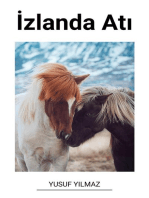 İzlanda Atı