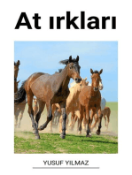 At ırkları