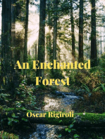 An Enchanted Forest