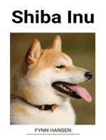 Shiba Inu