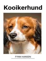 Kooikerhund