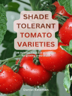 Shade Tolerant Tomato Varieties