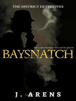 Baysnatch: The District Detectives, #2