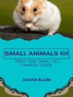 Small Animals 101