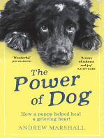 The Power of Dog: How a Puppy Helped heal a Grieving Heart