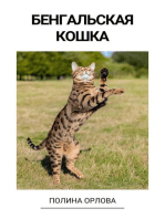 Бенгальская кошка