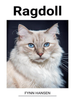 Ragdoll