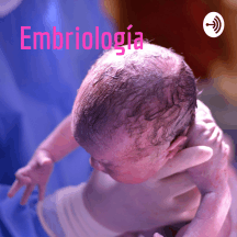 Embriología: El Podcast