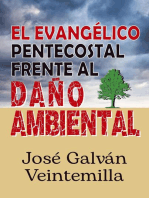 El evangélico pentecostal frente al daño ambiental