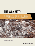 The Wax Moth