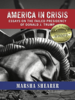 America in Crisis