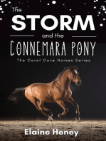 The Storm and the Connemara Pony - The Coral Cove Horses Series: Coral Cove Horse Adventures for Girls and Boys, #2