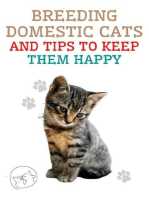 Breeding Domestic Cats and Tips to Keep Them Happy