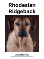 Rhodesian Ridgeback