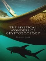 The mystical wonders of cryptozoology: A journey through time to discover the unknown