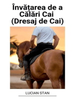 Învățarea de a Călări Cai (Dresaj de Cai)