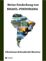 Meine Entdeckung von Brasil-Pindorama: Leben und Reisen in Brasilien und Südamerika, die Indigenen Völker, Naturschutz und politische Ereignisse und das Zusammentreffen der Kulturen