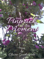 The Pinprick of the Moment