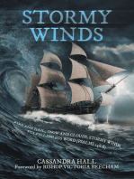 Stormy Winds