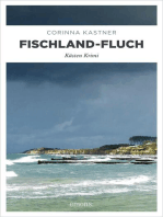 Fischland-Fluch: Küsten Krimi